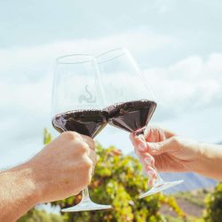 Cata a ciegas de vinos y aromas