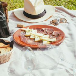 Picnic entre viñedos, naturaleza y sabor